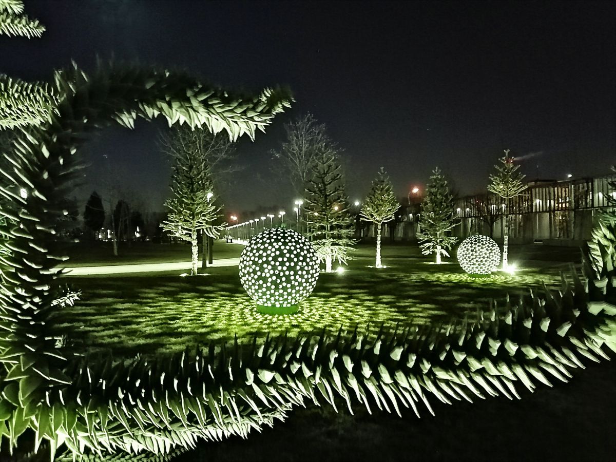 Парк галицкого в краснодаре фото сейчас ночью